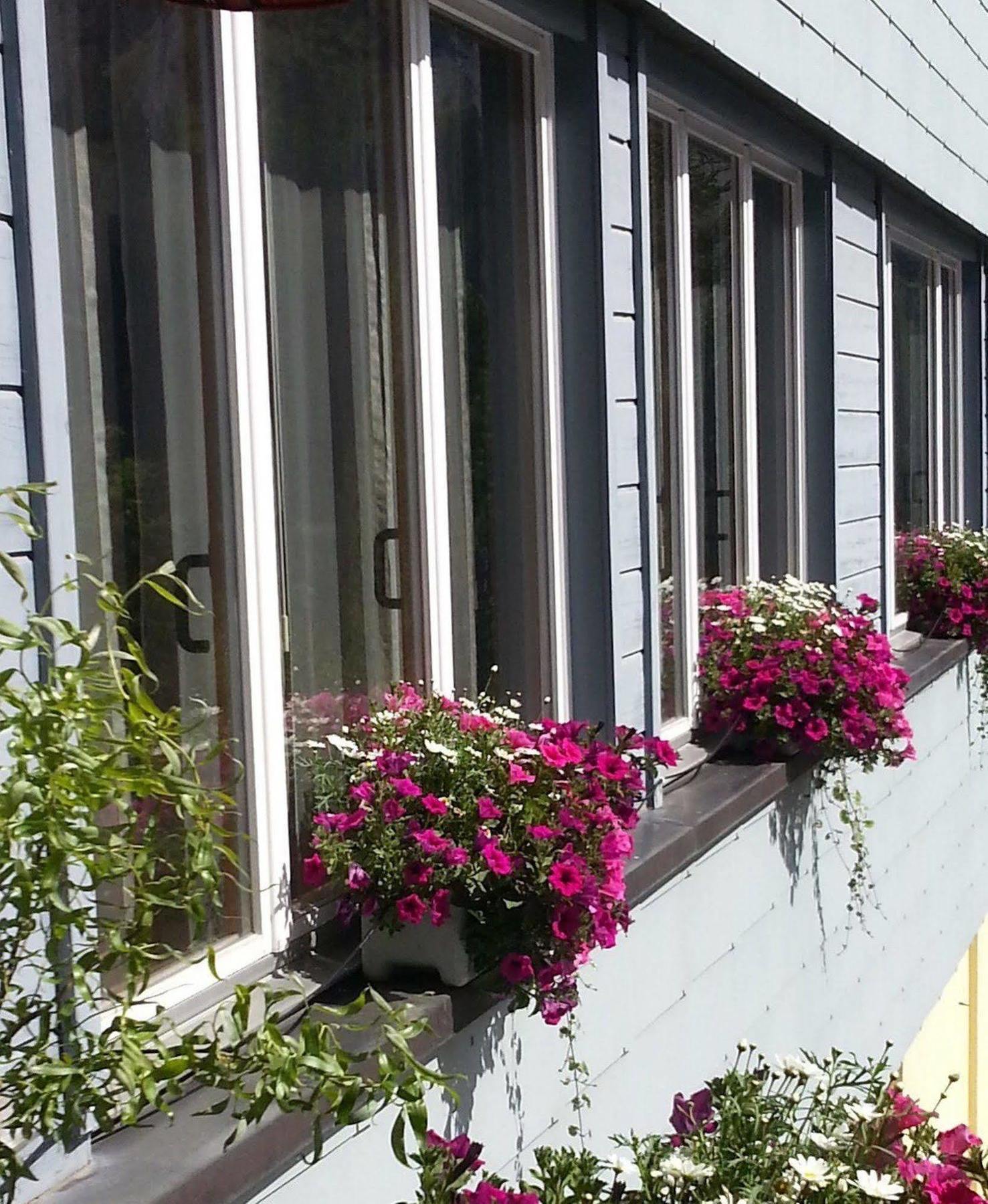 The Excelsior Ostfluegel Arosa Exterior foto
